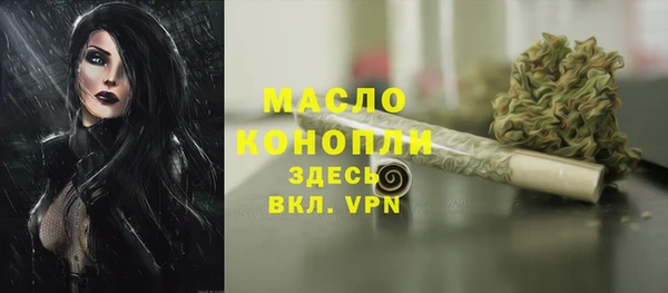 дмт Абаза