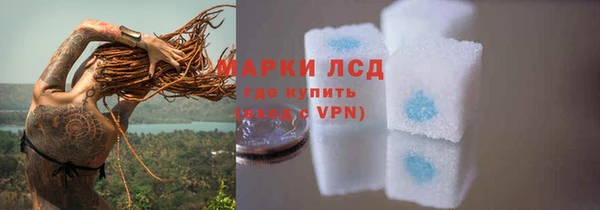 соль ск Дмитров