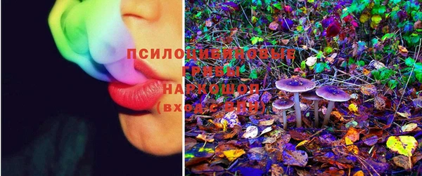 трава Абинск