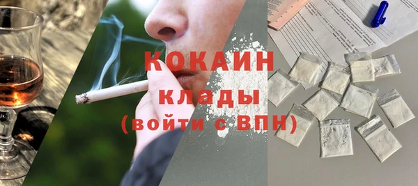 дмт Абаза