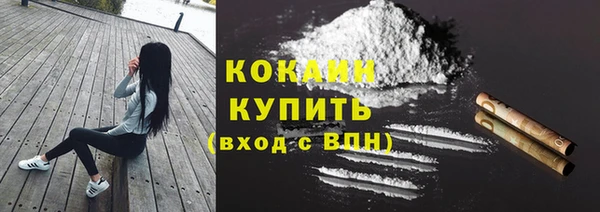 дмт Абаза